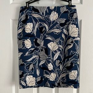 Banana Republic Pencil Skirt